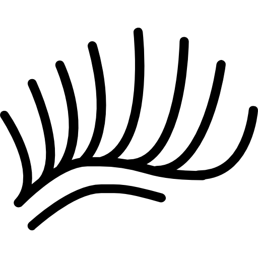 Alt Image