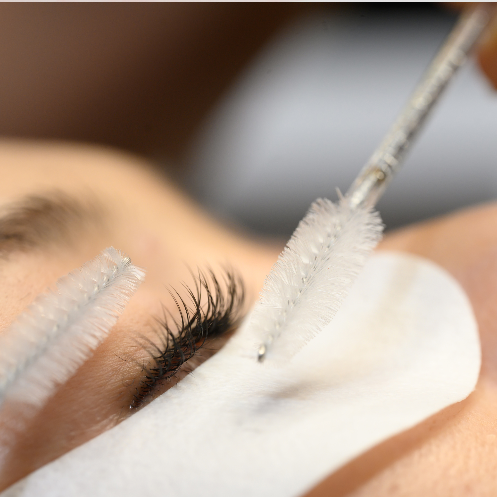 Lash Lift vs Lash Extensions: Which Should You Train in First?