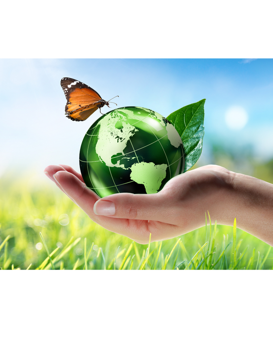 Sustainable Beauty: How Eco-Friendly Practices are Shaping the Industry