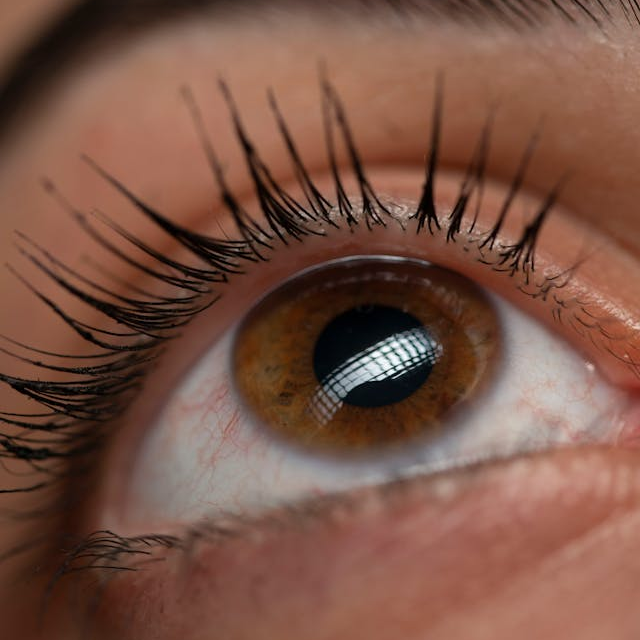 Combined Brow Lamination & Lash Lift Online Course-elizabethsandsbeautyschool