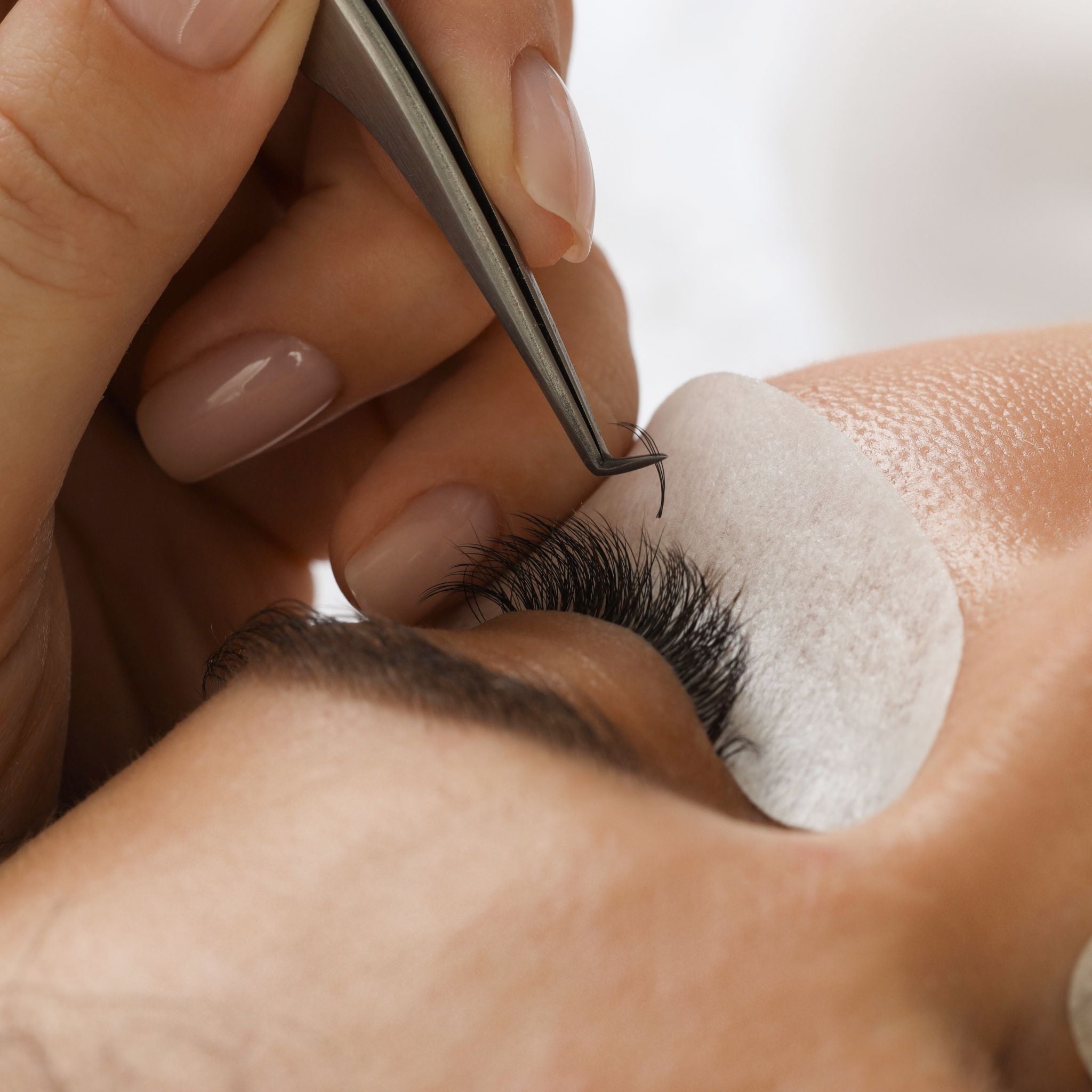 Close up image of pre-made russian lashes on model.