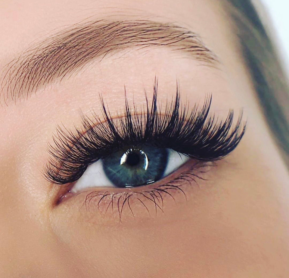 ULTIMATE ADVANCED EYELASH STYLING WORKSHOP - ElizabethSands Beauty School