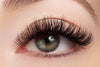 Russian Volume Lash Extensions Training includes kit